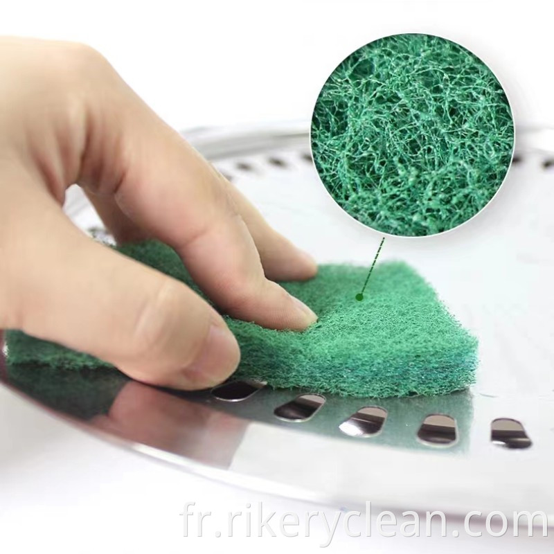 Scouring Pad